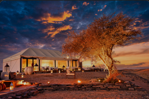 White Camel Camp